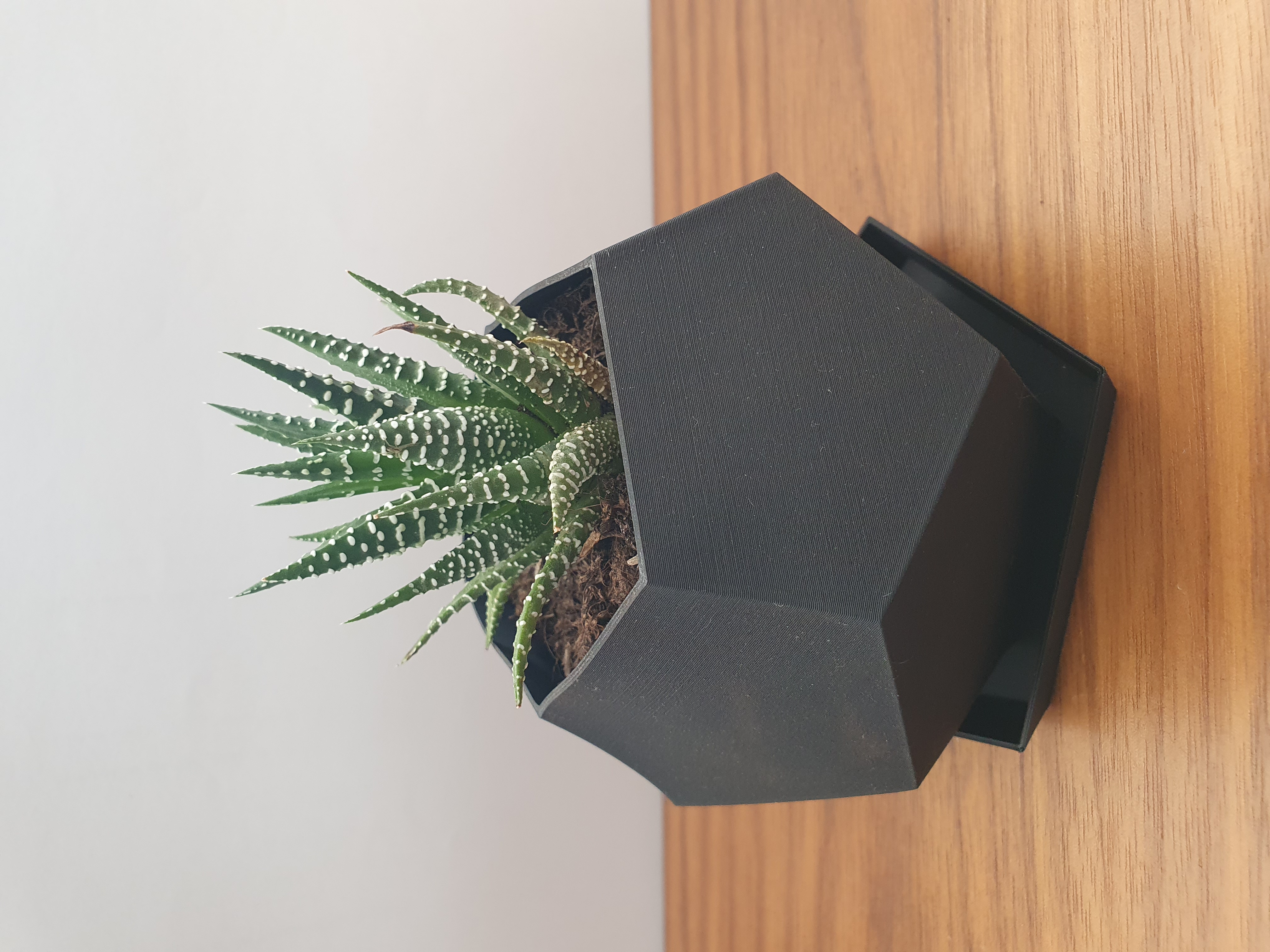 Polygon plant pot