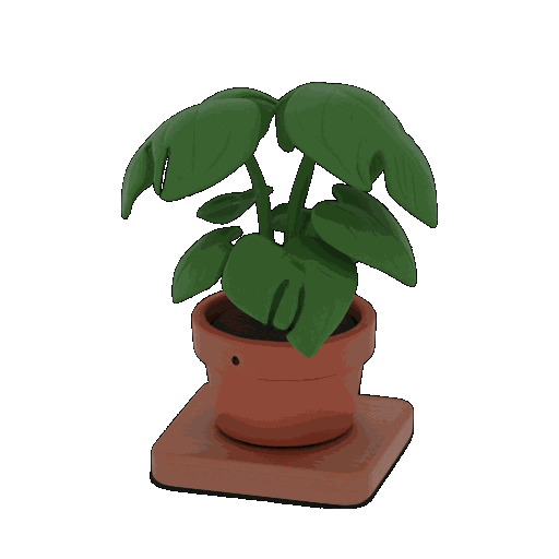 plant in a pot