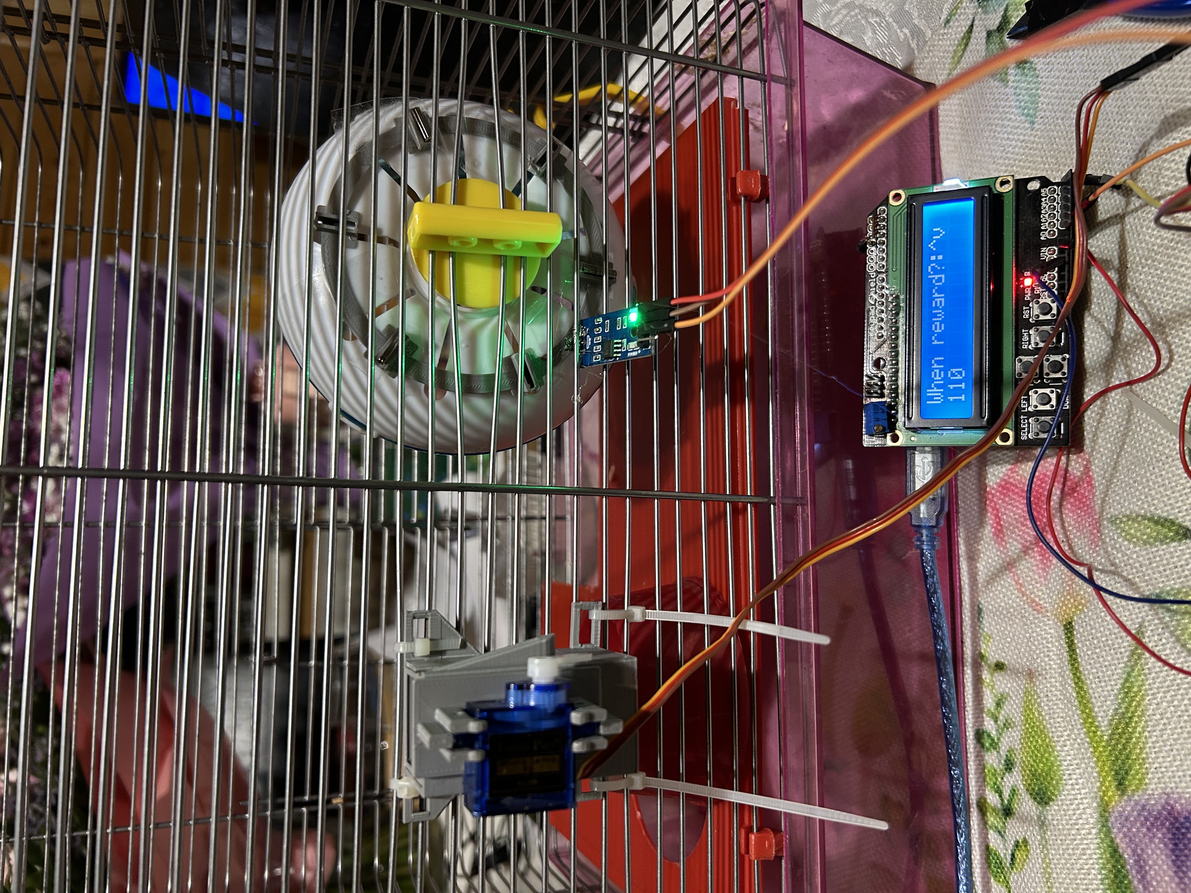 HAMSTER SPEED TESTER with a rotation counter and a reward upon reaching the goal