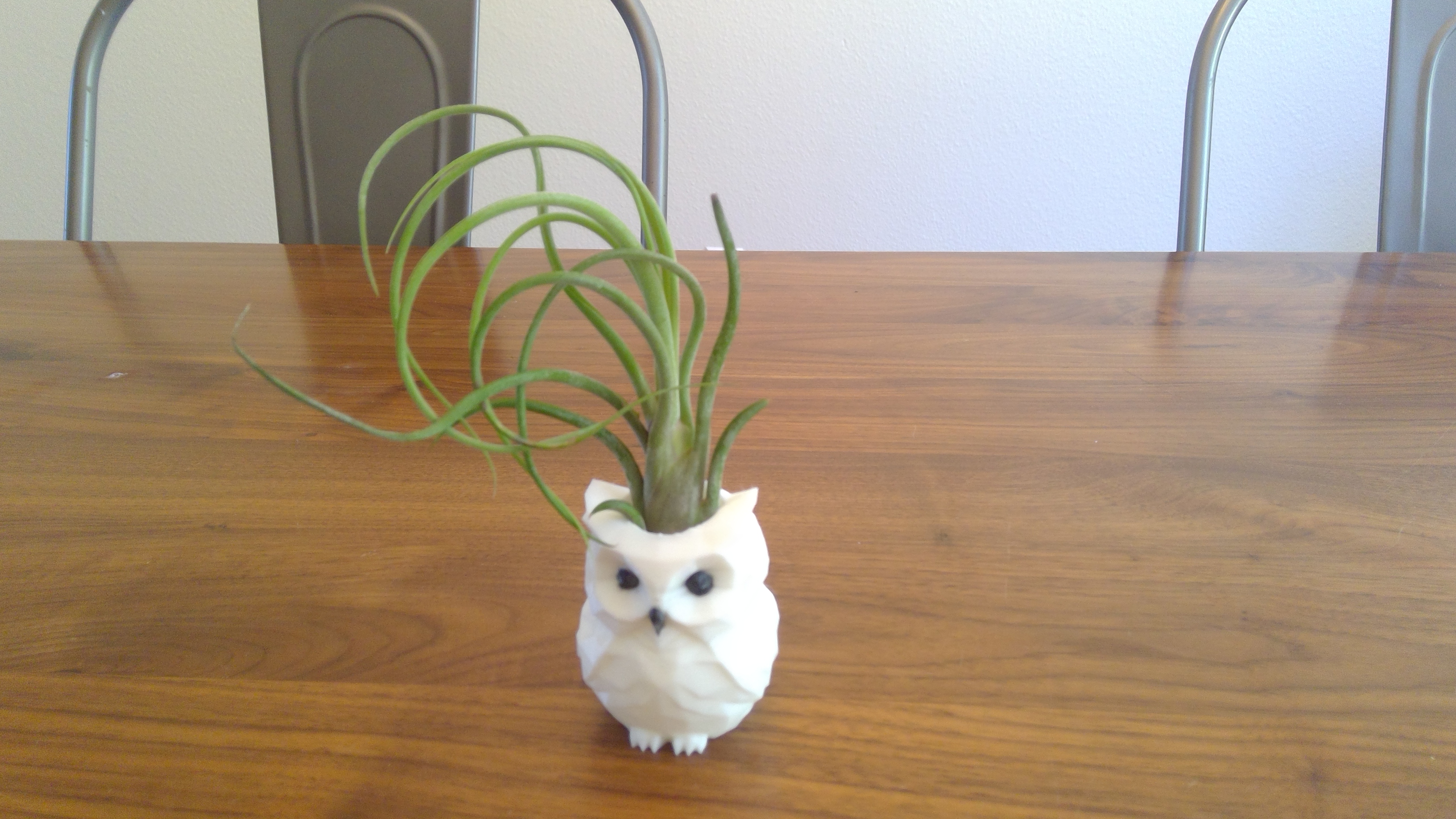 Owl plant pot