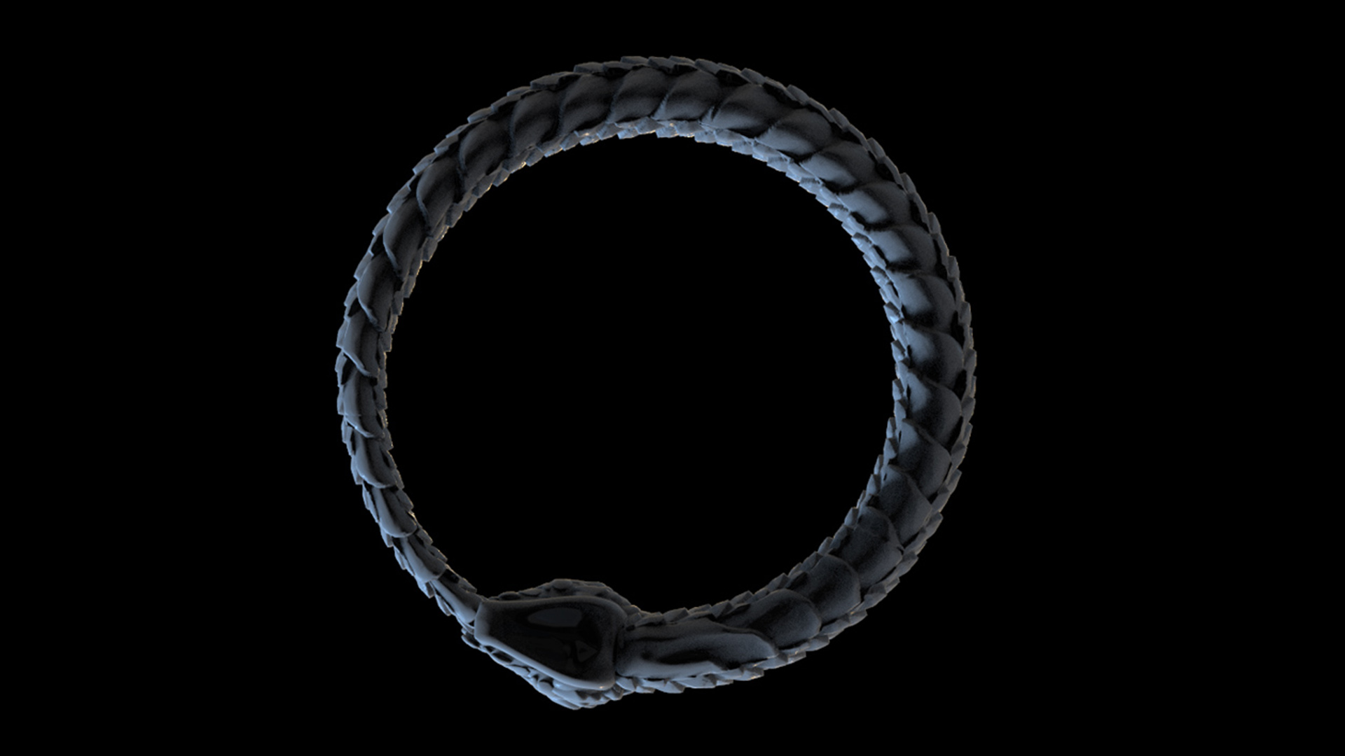 snake — miniatura 9