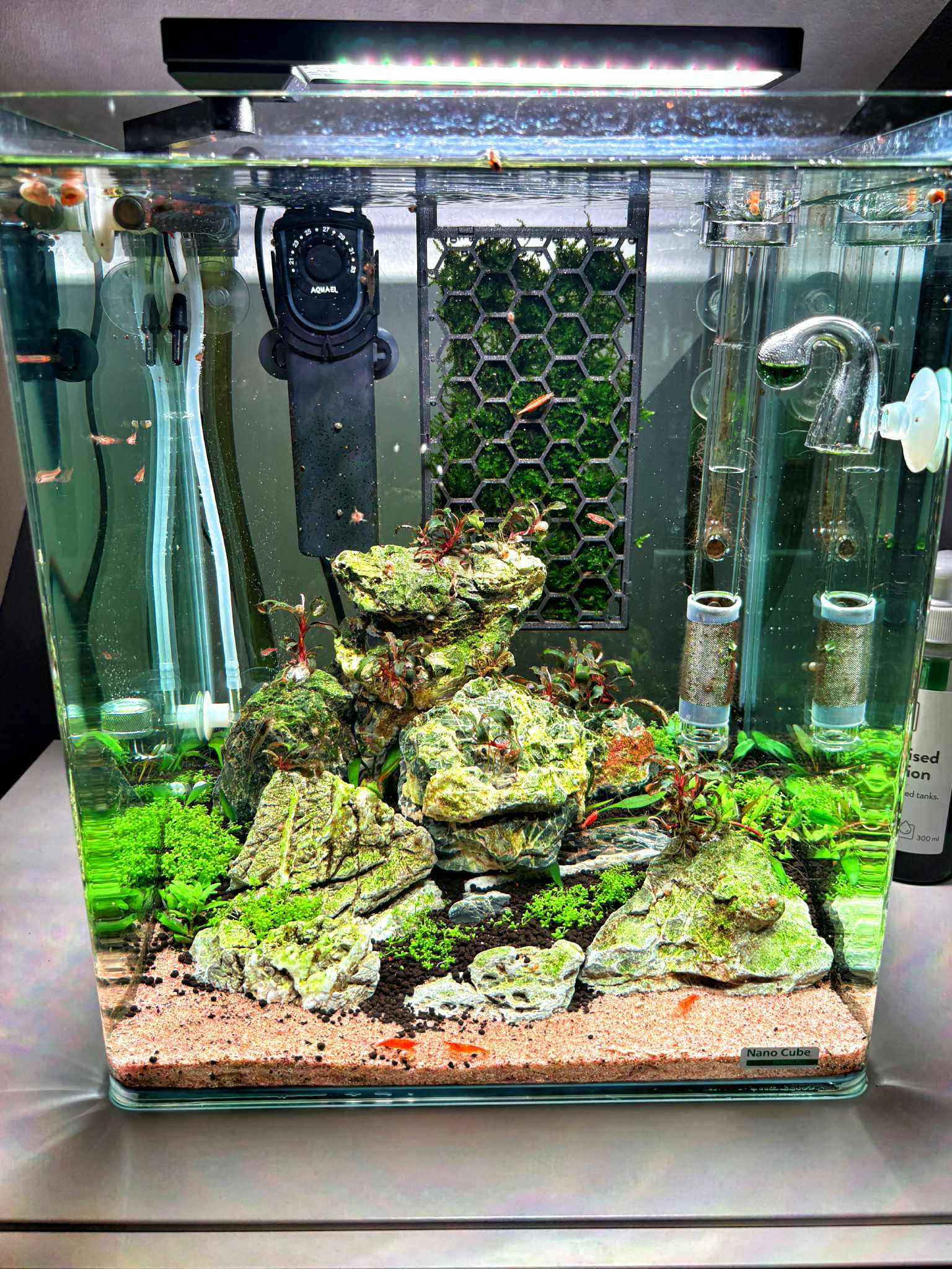 Javamoss Honeycomb holder