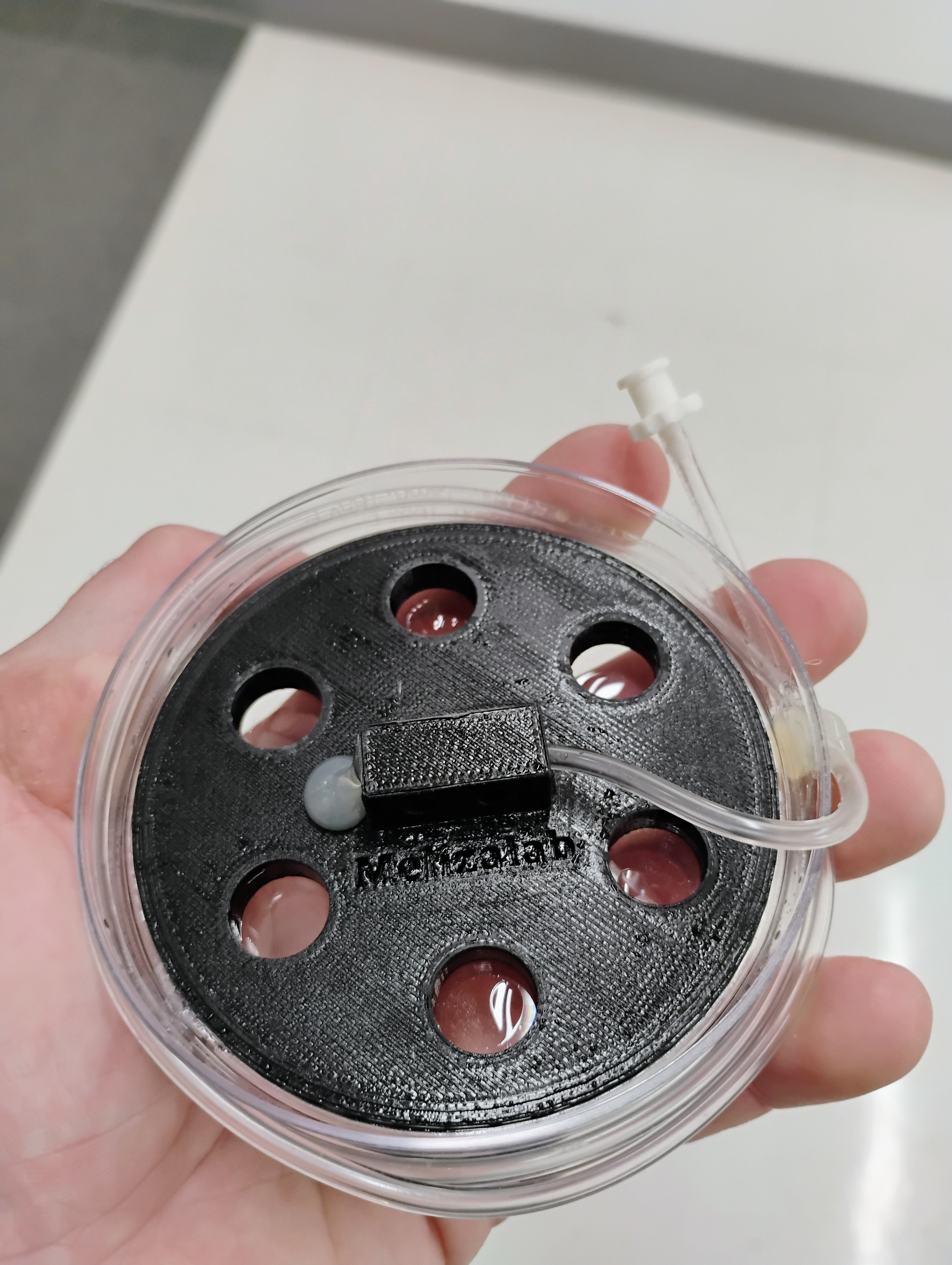 Multiple wells petri dish size holding chamber for patch clamp — miniatura 3