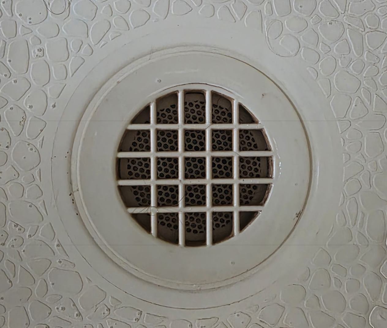 Get rid of pests: Centepede and cockroach blocker for your shower drain
