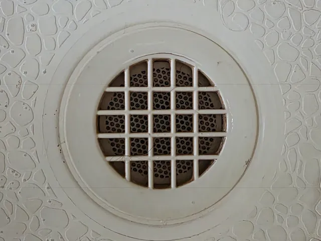 Get rid of pests: Centepede and cockroach blocker for your shower drain