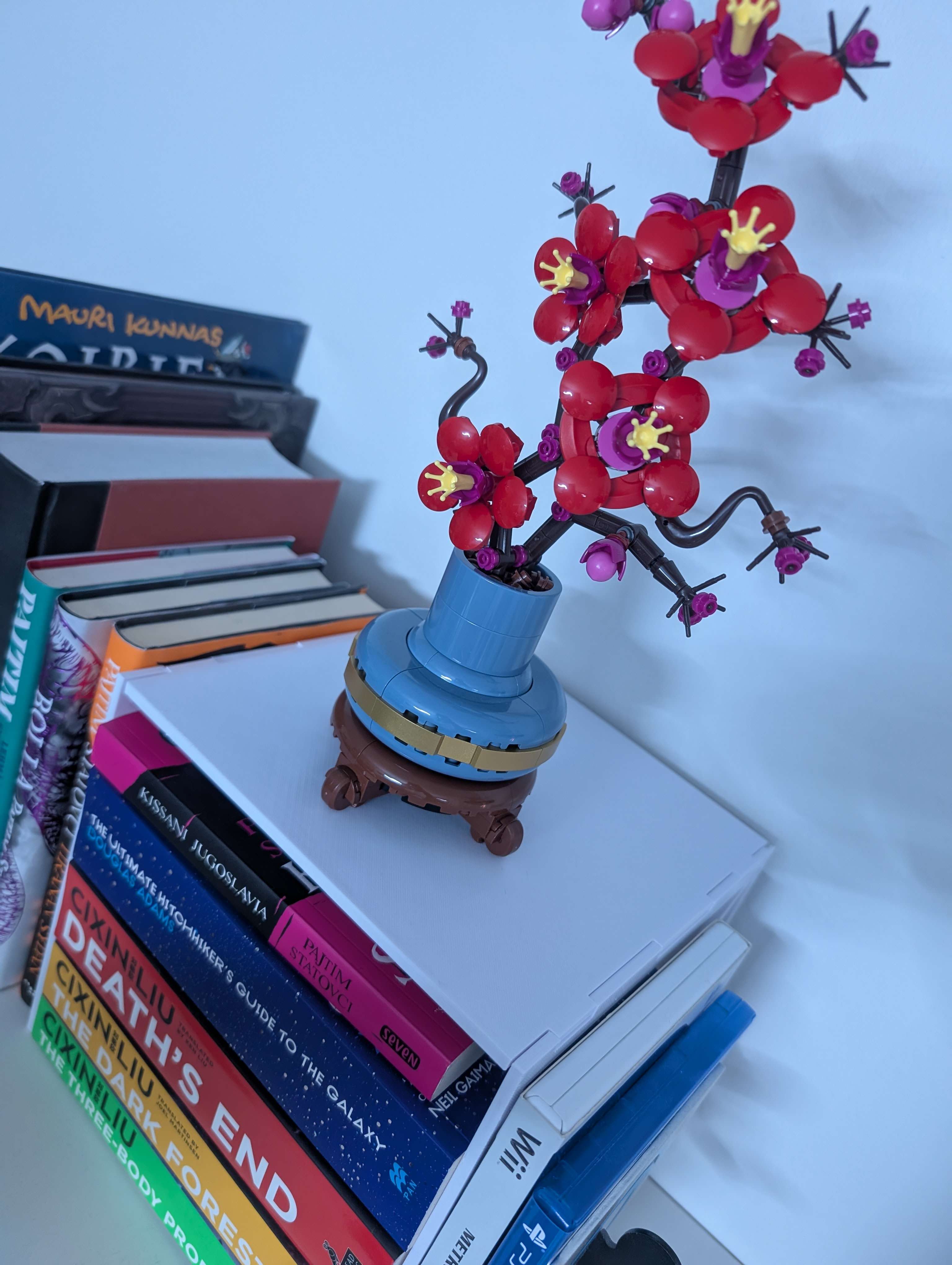 The bookshelf shelf