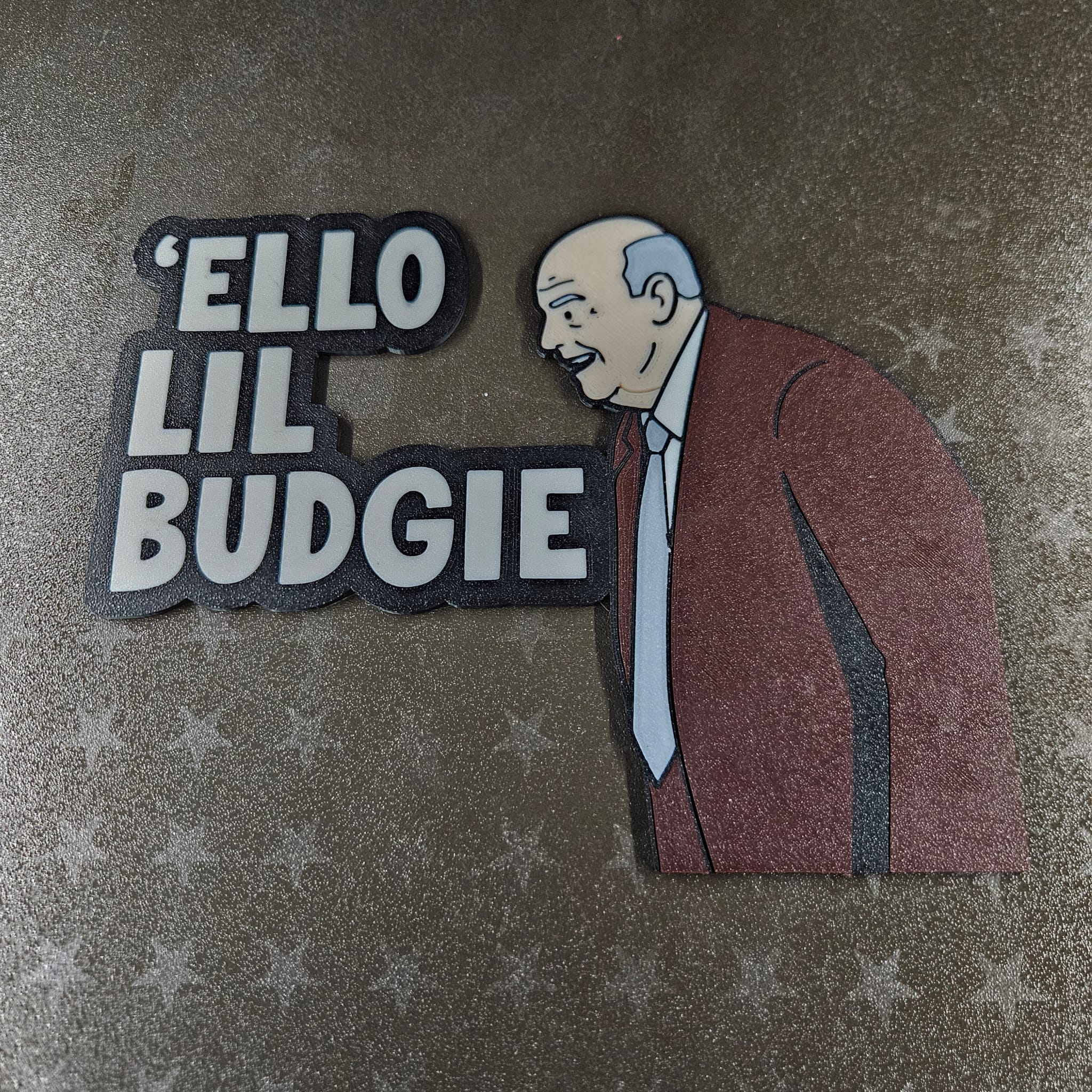 HELLO LITTLE BUDGIE - Fred Elliott
