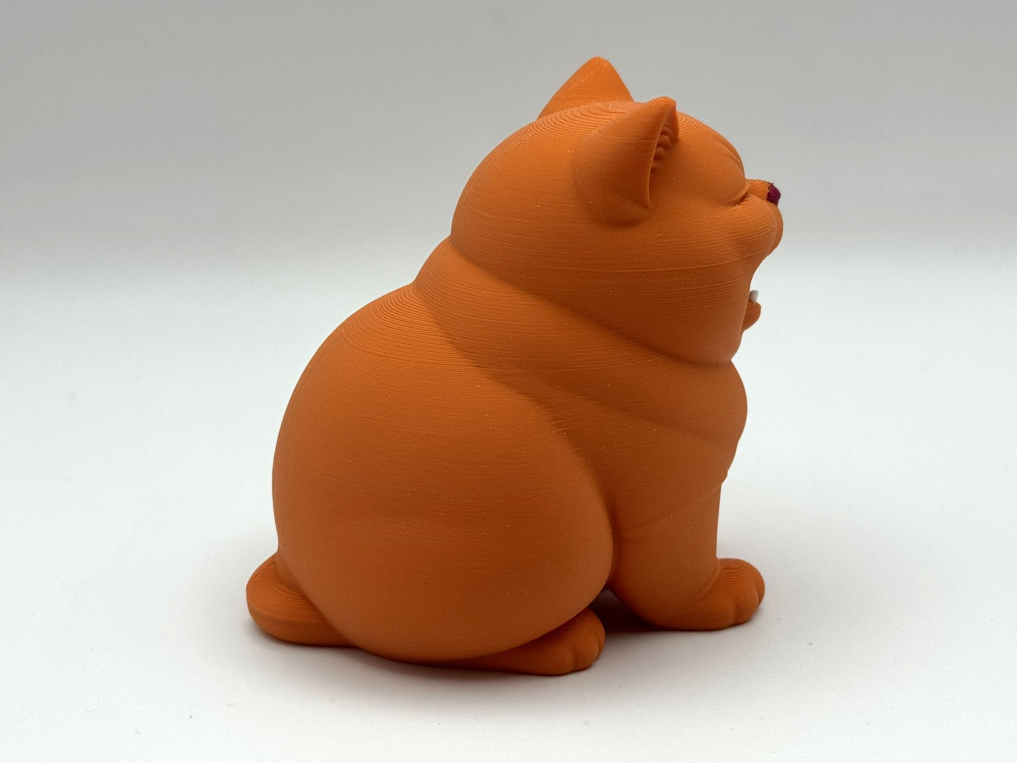 Happy Chonk Kitten — miniatura 4