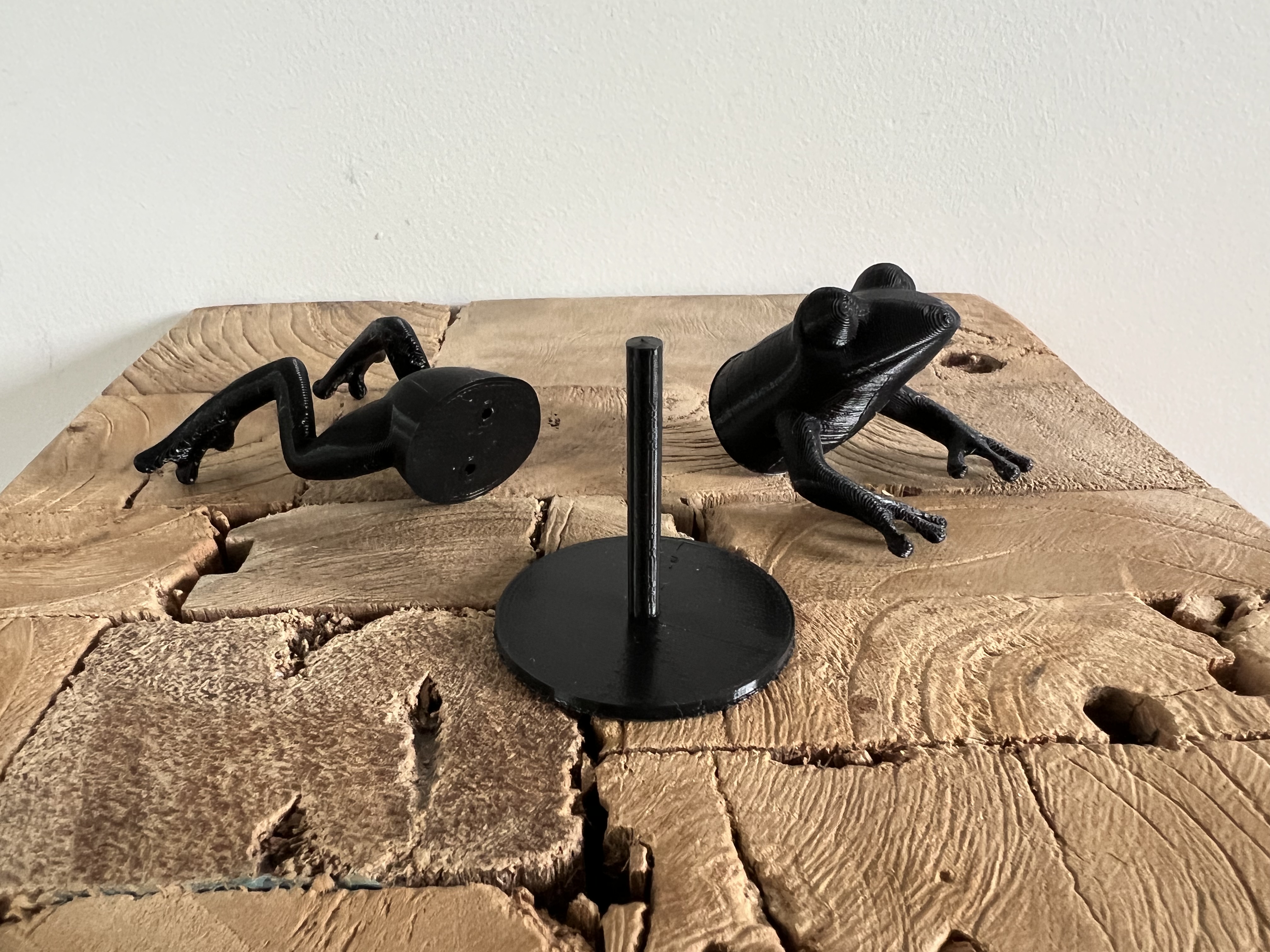Miniatura 4 do modelo 3D Jumping Frog