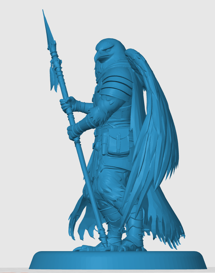 Aarakocra Fighter — miniatura 4