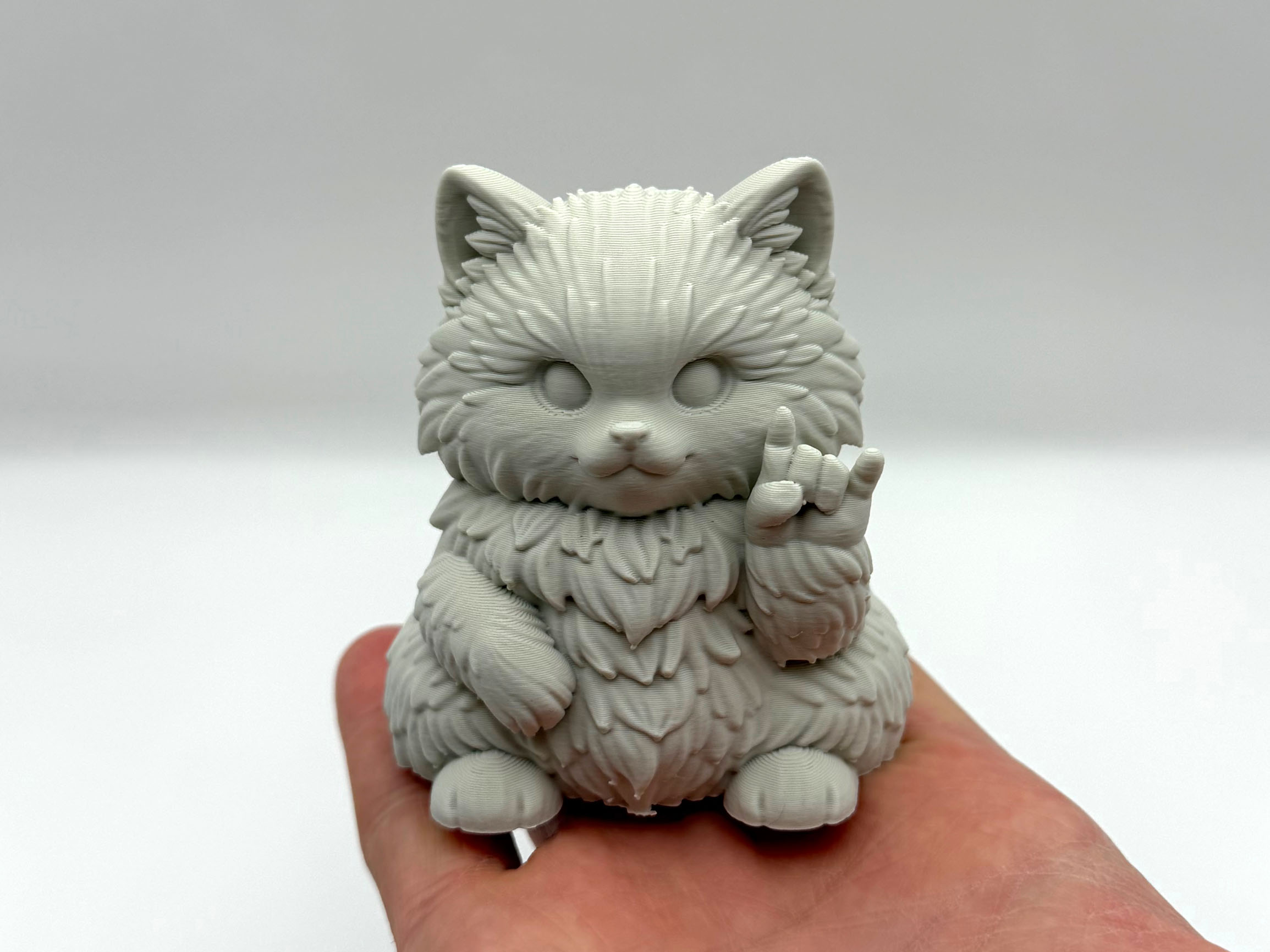 Chonky RockOn Kitten