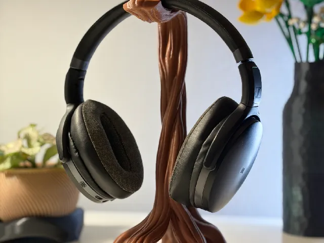 Branch for hanging headphones