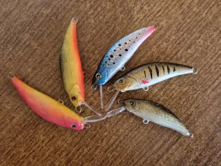 TROUT models for 3D printer | Printables.com