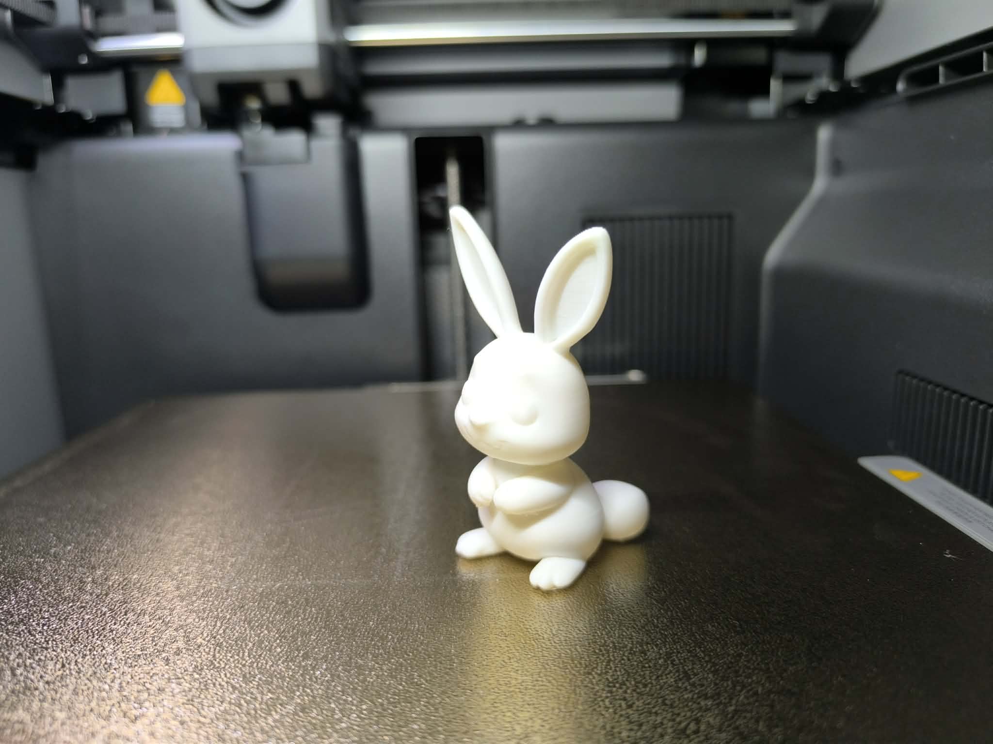 Cute rabbit