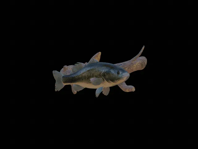 Largemouth Bass Wall Sculpture