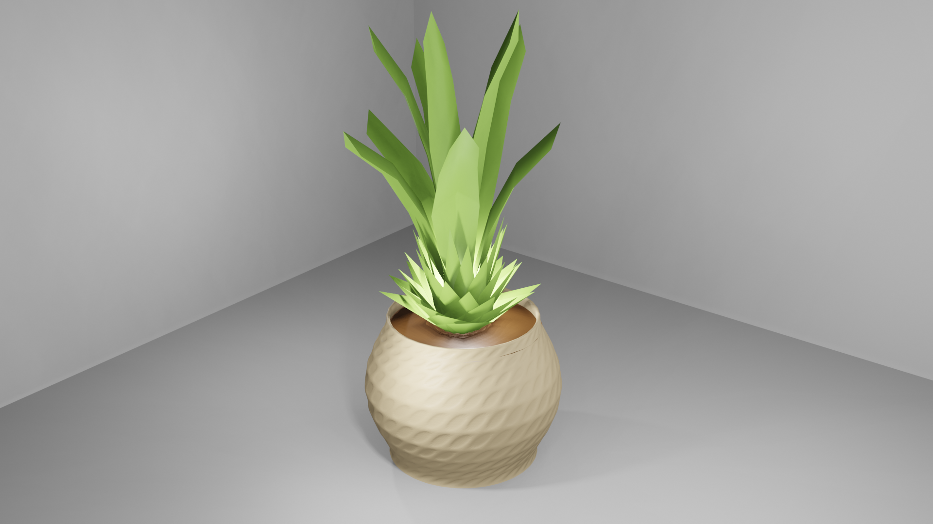 Pot