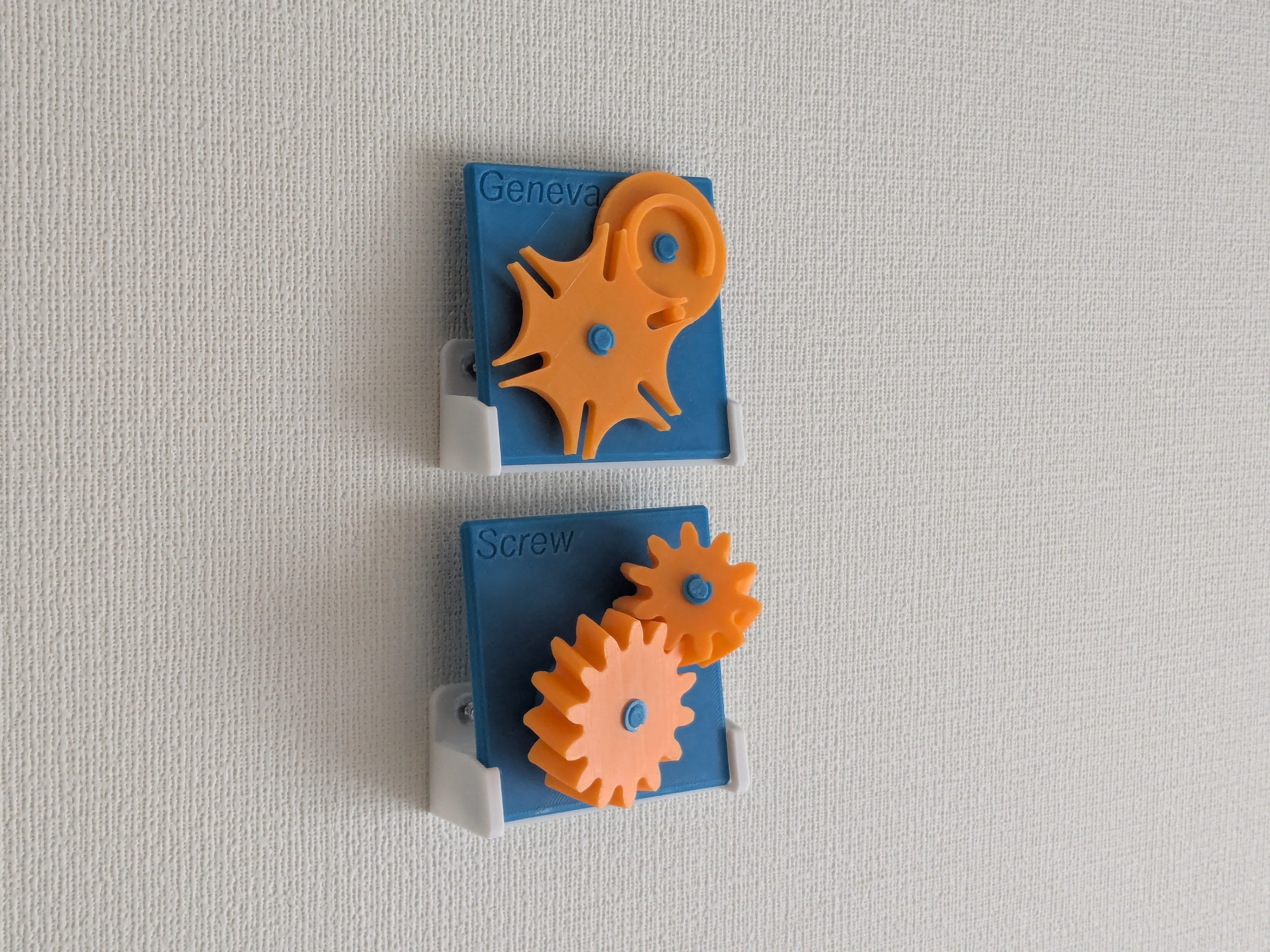 Display Wall-Mount Holder for my Educational Models