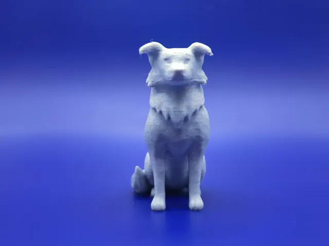 The Majestic Collie