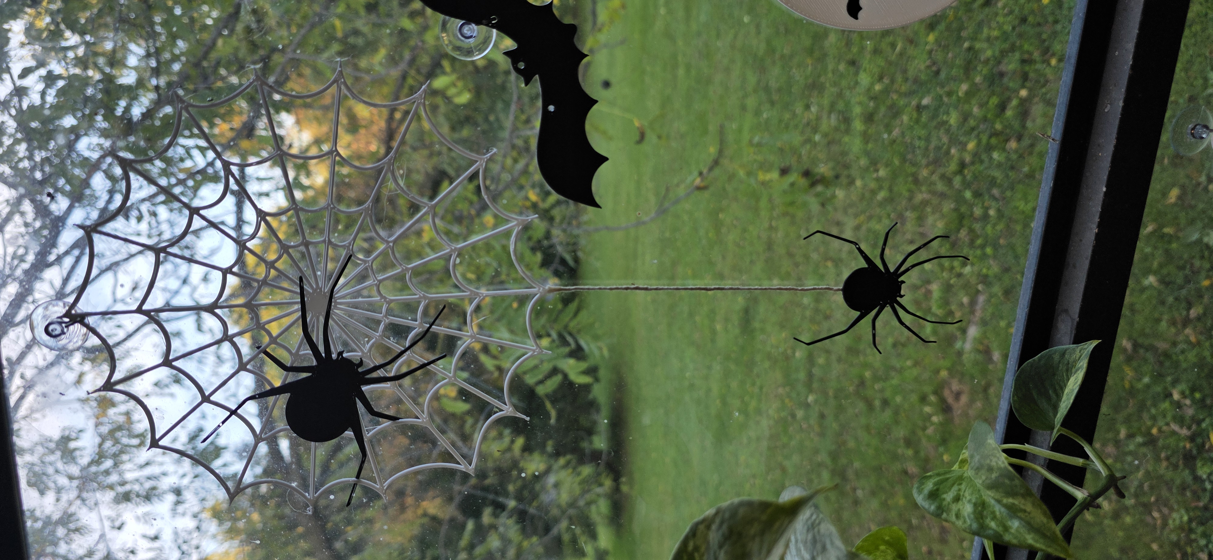 spider and web window decoration for halloween
