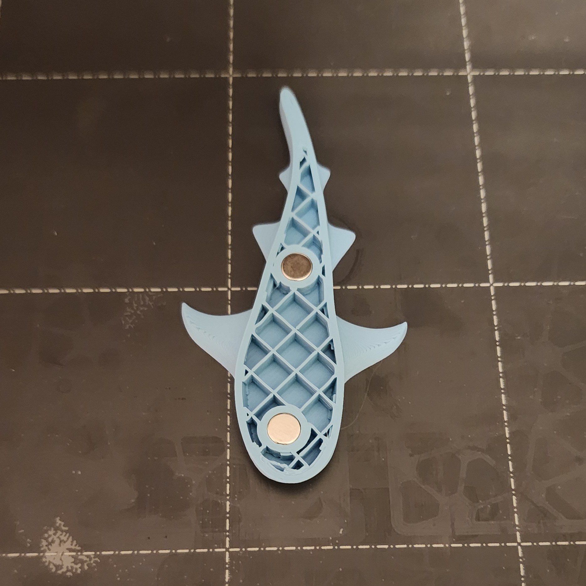 Whale Shark Fridge Magnet (No Supports) w/o pre-added hole