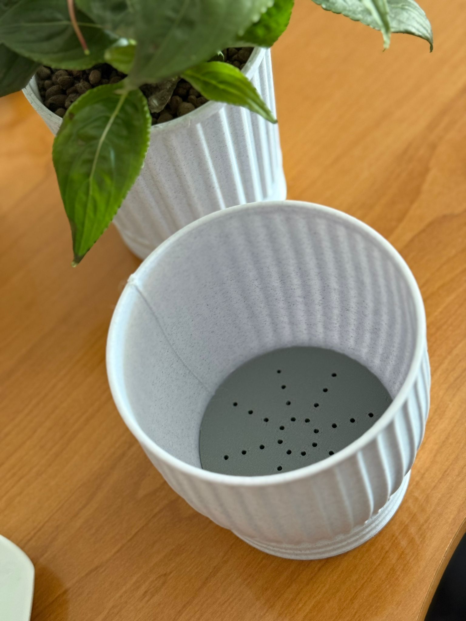 Pot