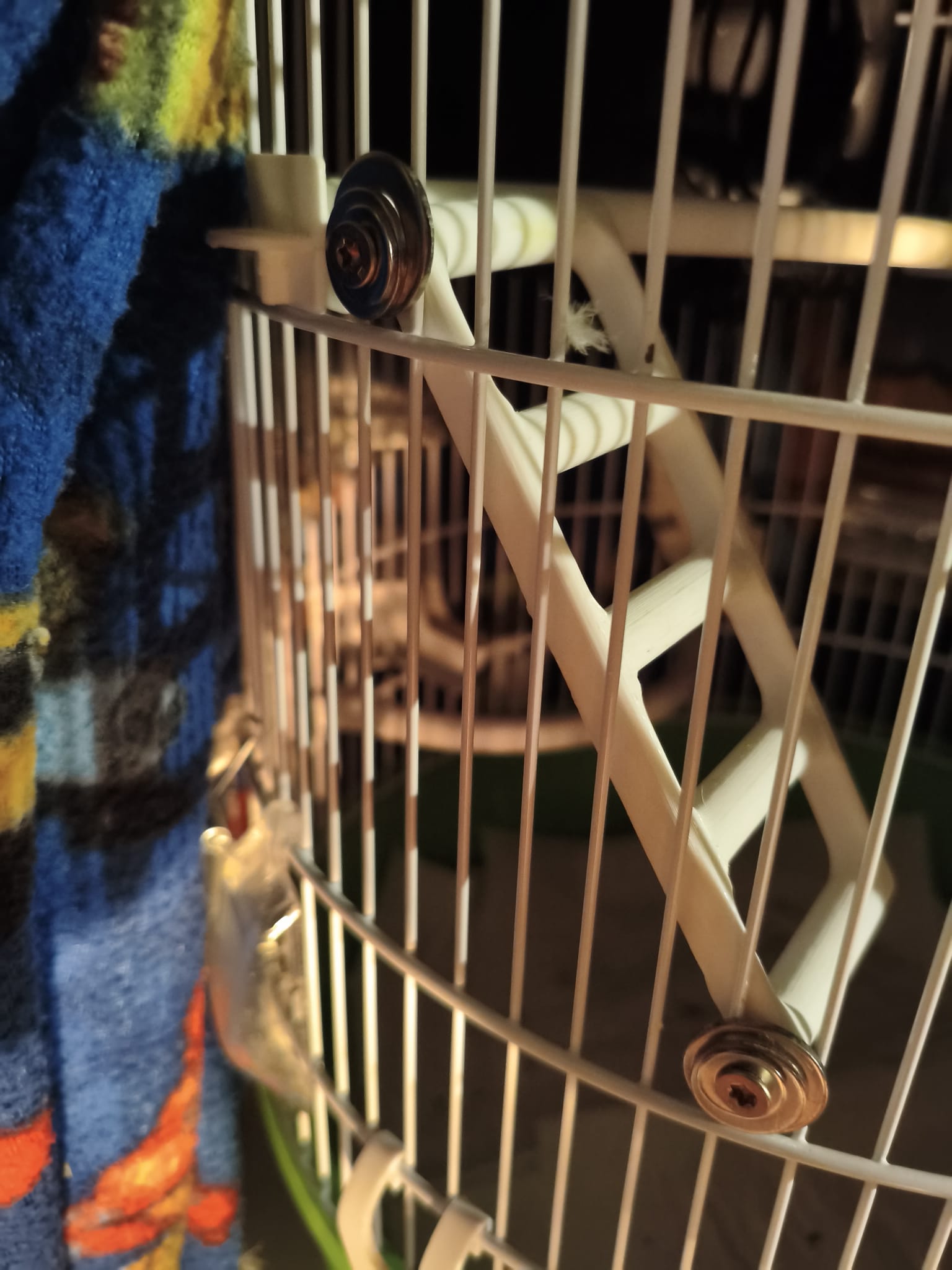 Parakeet's Stairs