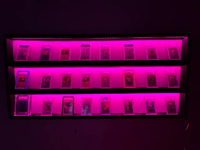 Modular Wall Display (LED Support)