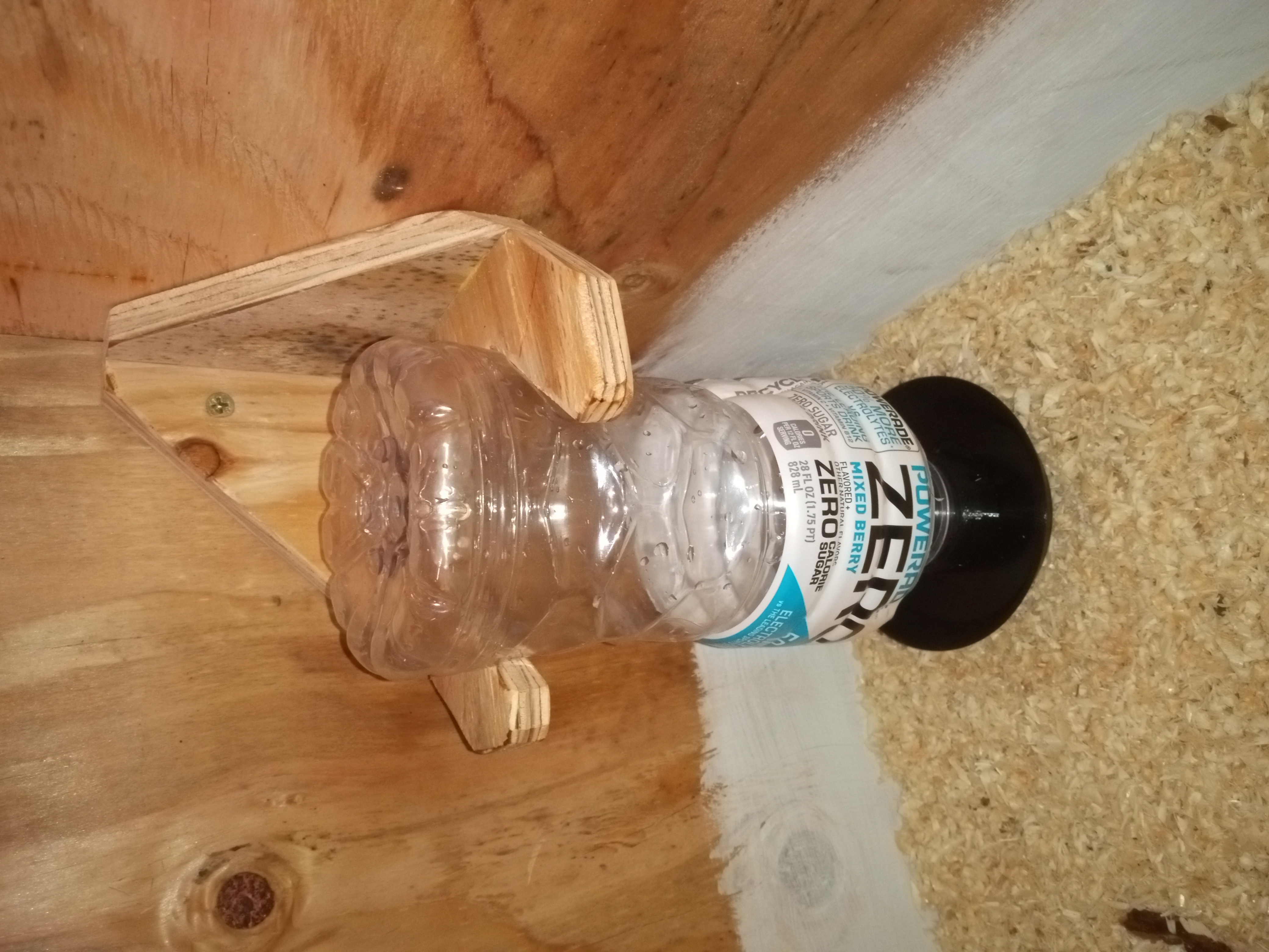 Chick waterer - Powerade Bottle Threads - Three Sizes plus Anti Drown Model