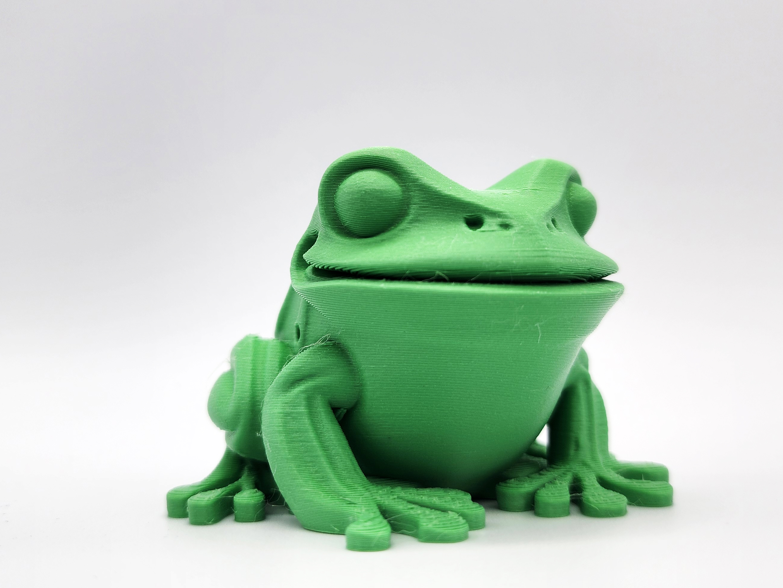 Flat-bottom Toad — thumbnail 4