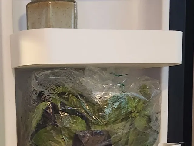 Fridge door Tray Danby