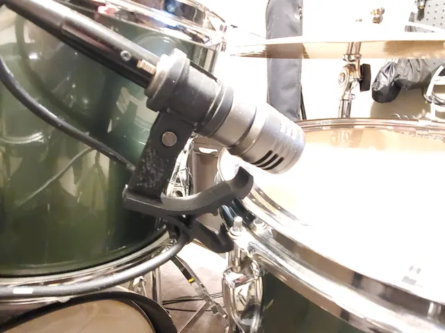 Drum microphone rim mount
