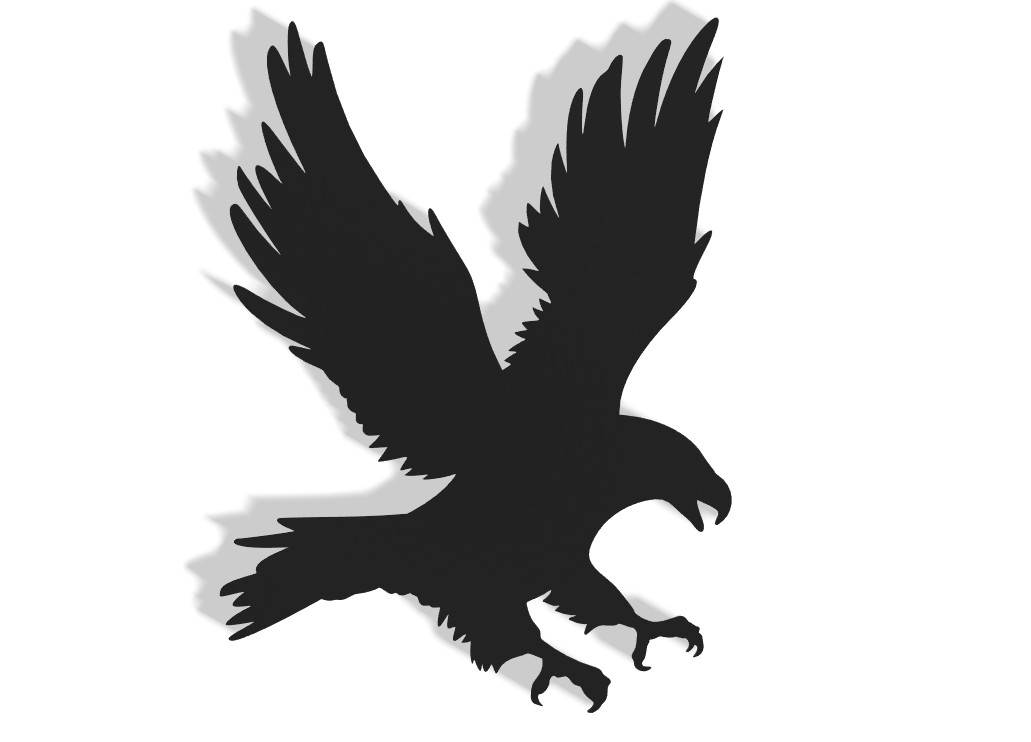 Eagle Decor