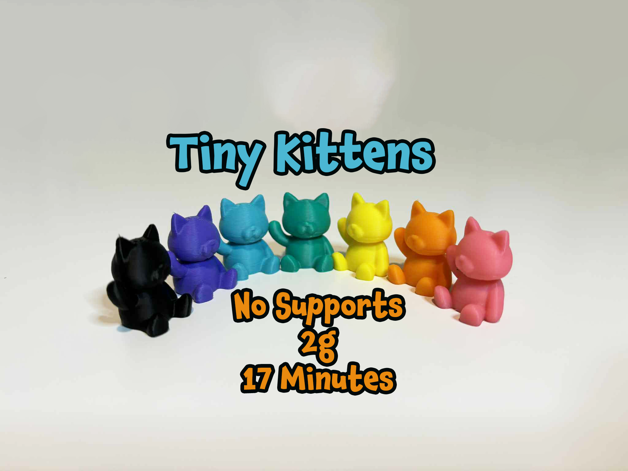 Tiny Kitten