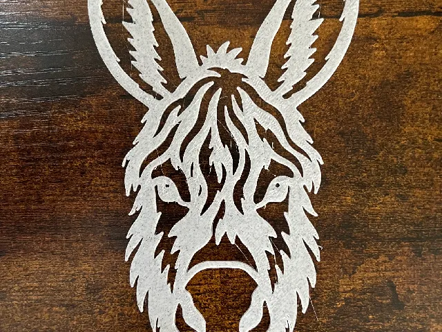 Donkey Baudet Du Poitou Wall Art