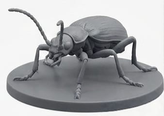Bombardier Beetle Statue