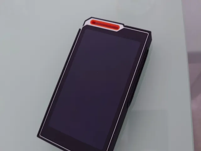 Hiby R4 Slim Case