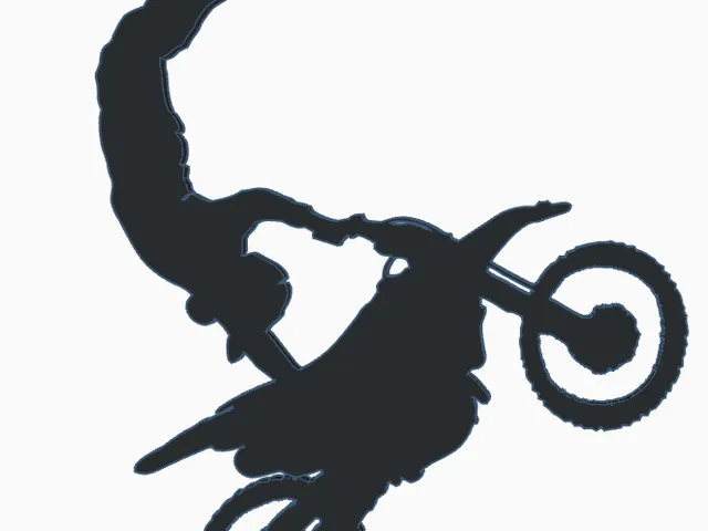 The Wheelie Lifestyle 3