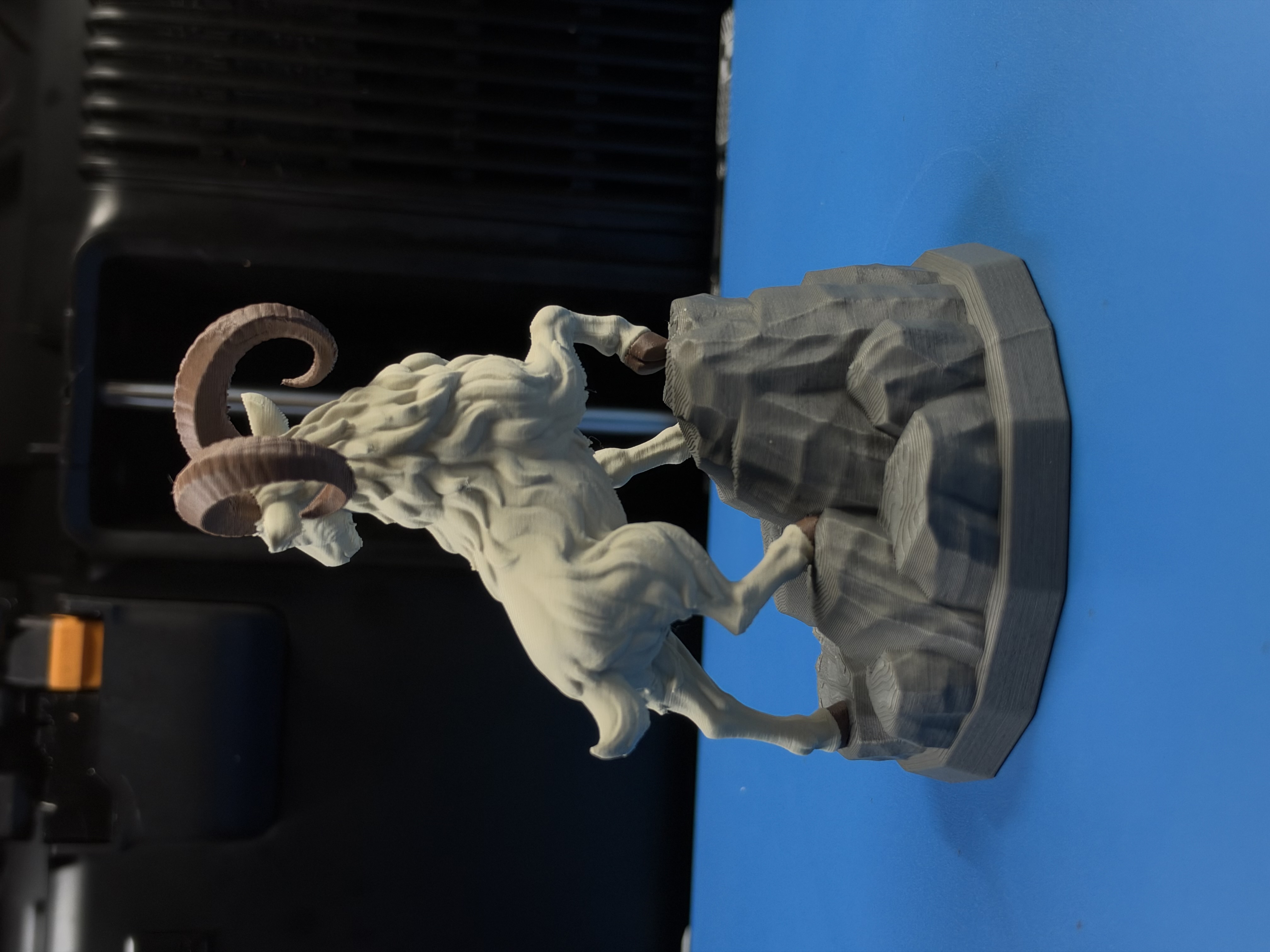 Goat on the Rock — thumbnail 4