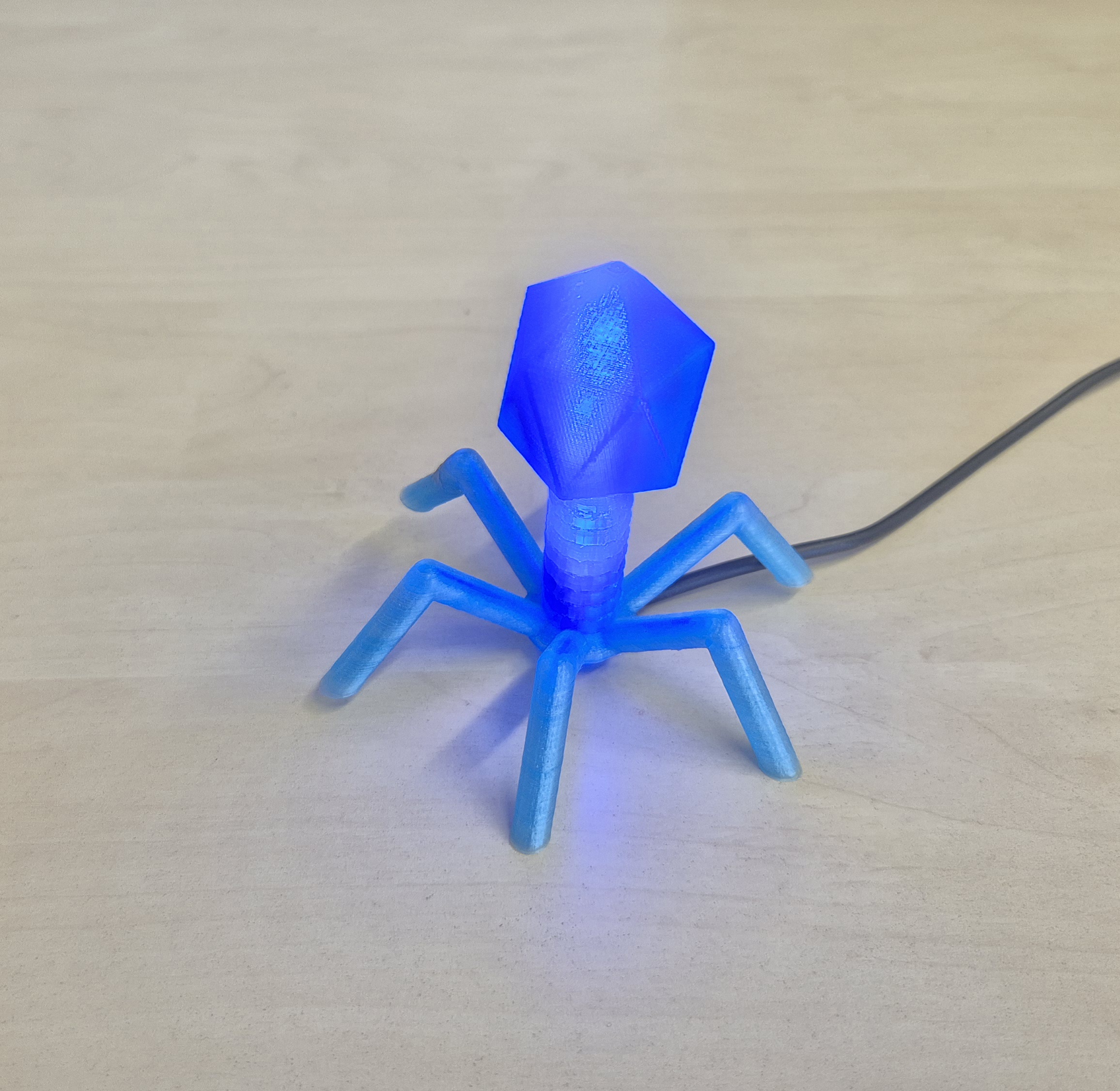 Bacteriophage Lamp