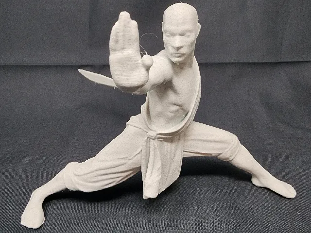 choy li fut