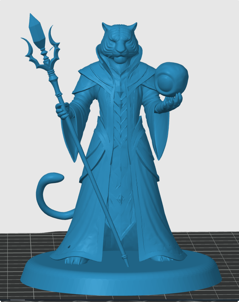 Tabaxi Wizard — miniatura 5