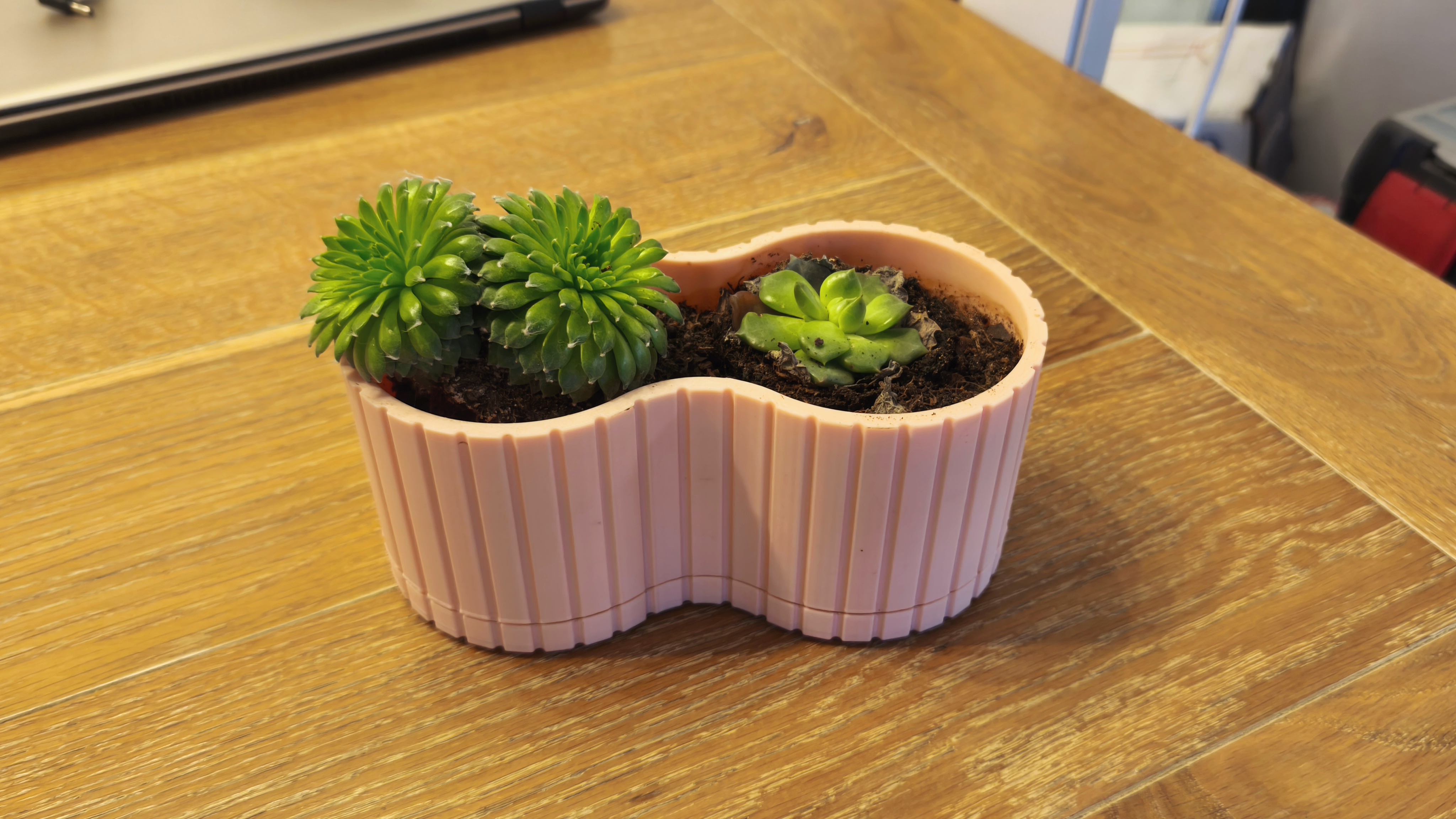 planter with drip tray