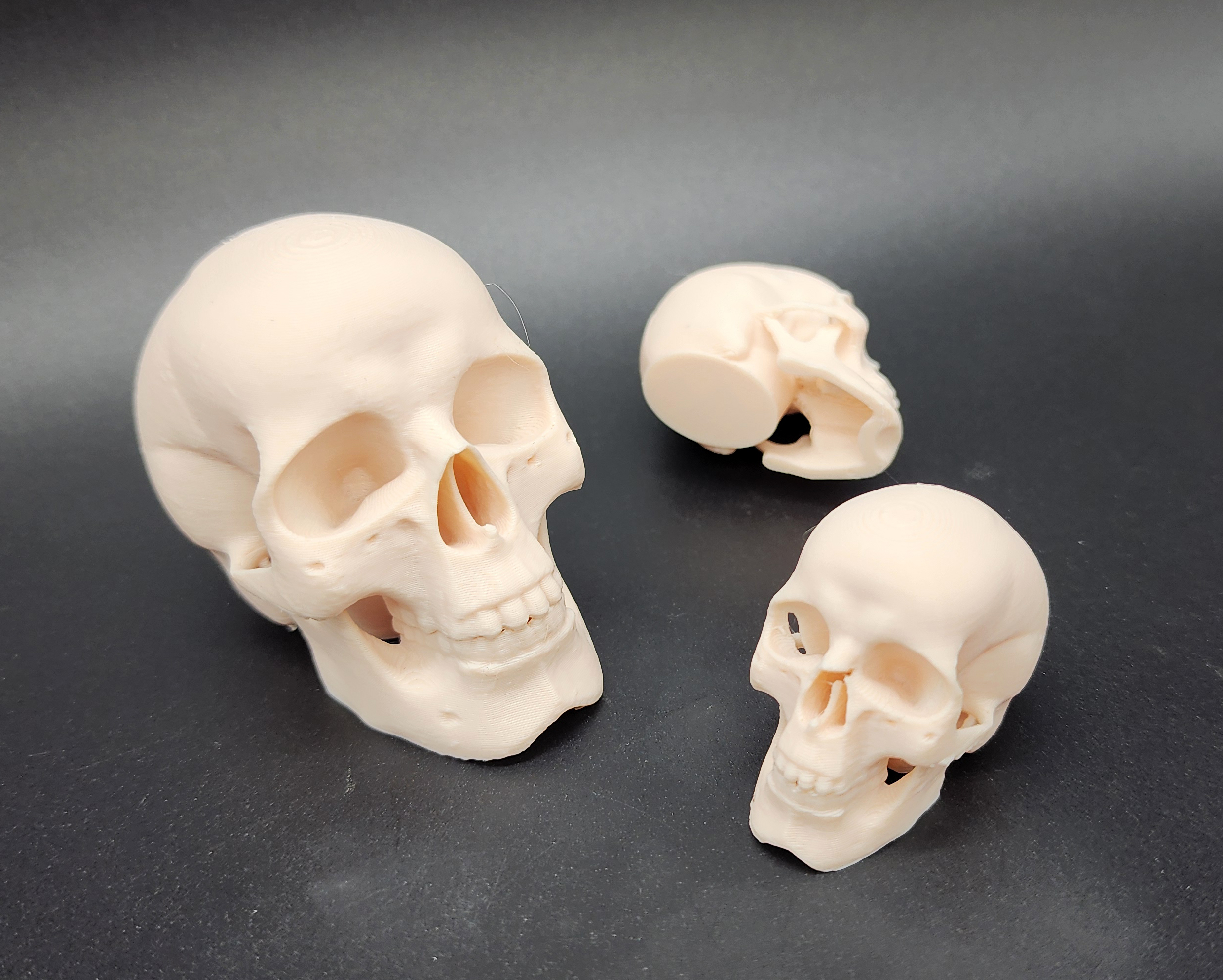Easy to Print Skull - Scalable 3D model thumbnail