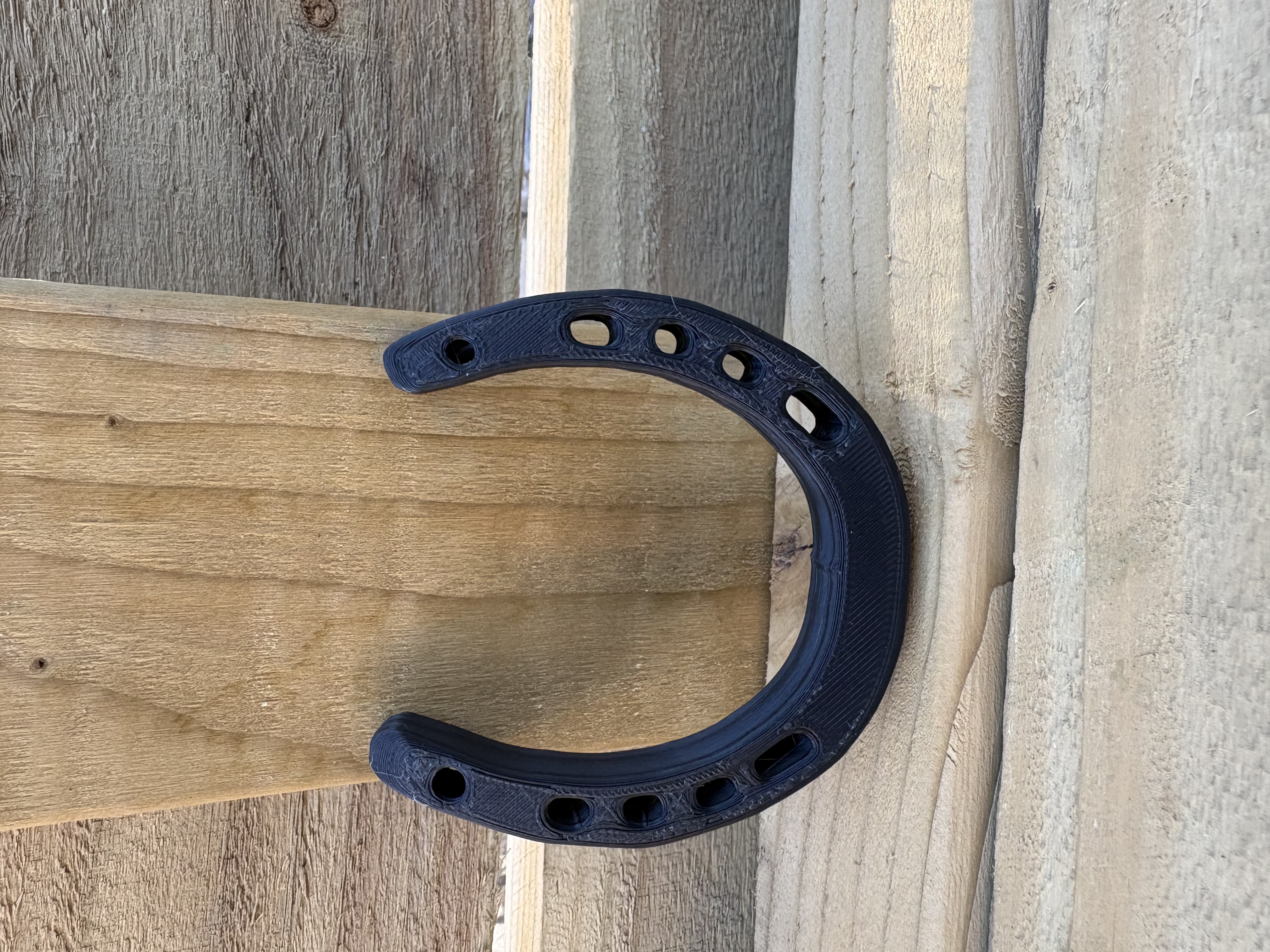 Lucky Horse Shoe