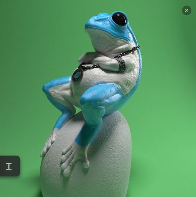 Frog on the Rock