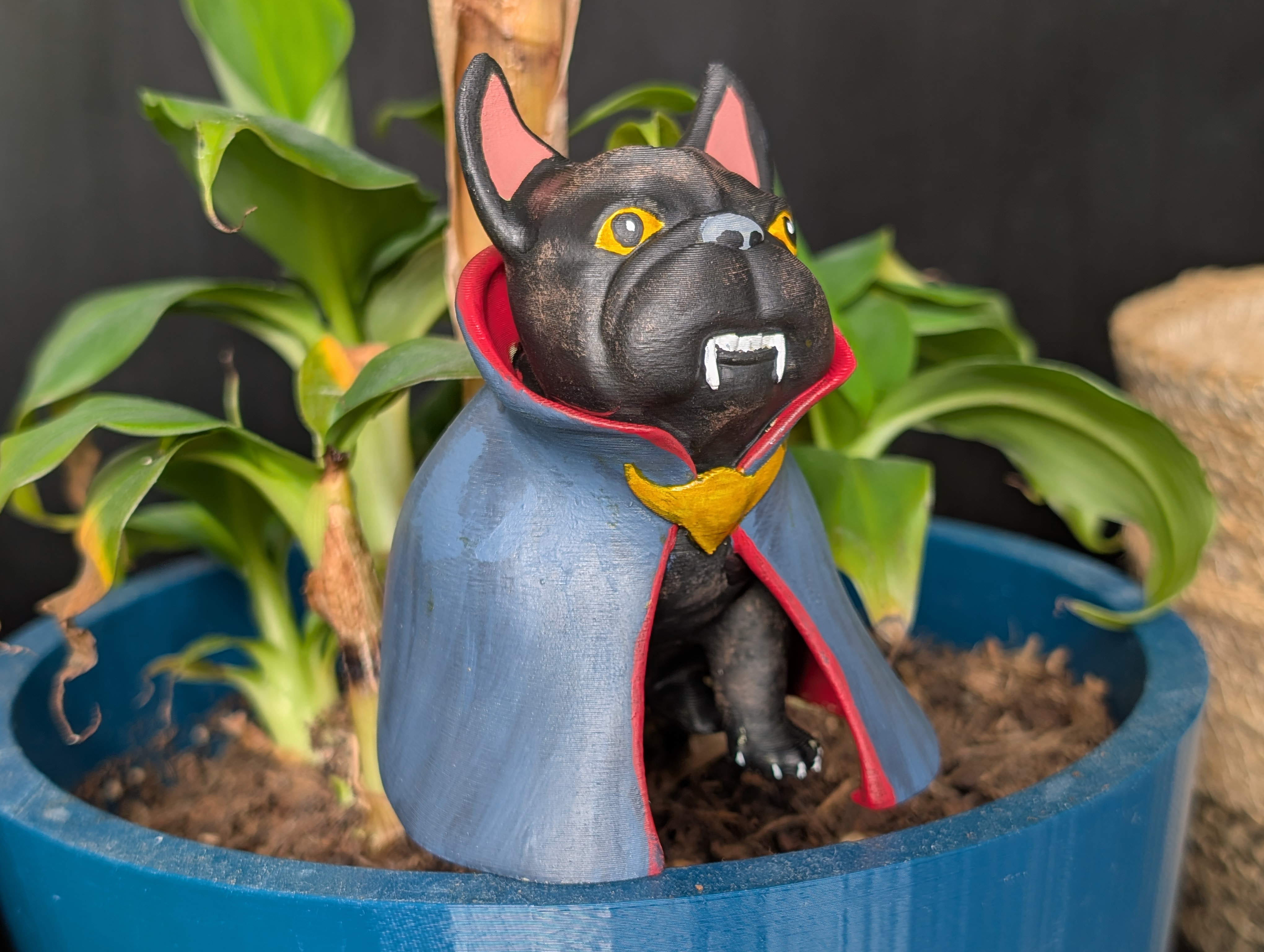 Vampire Frenchie — miniatura 2