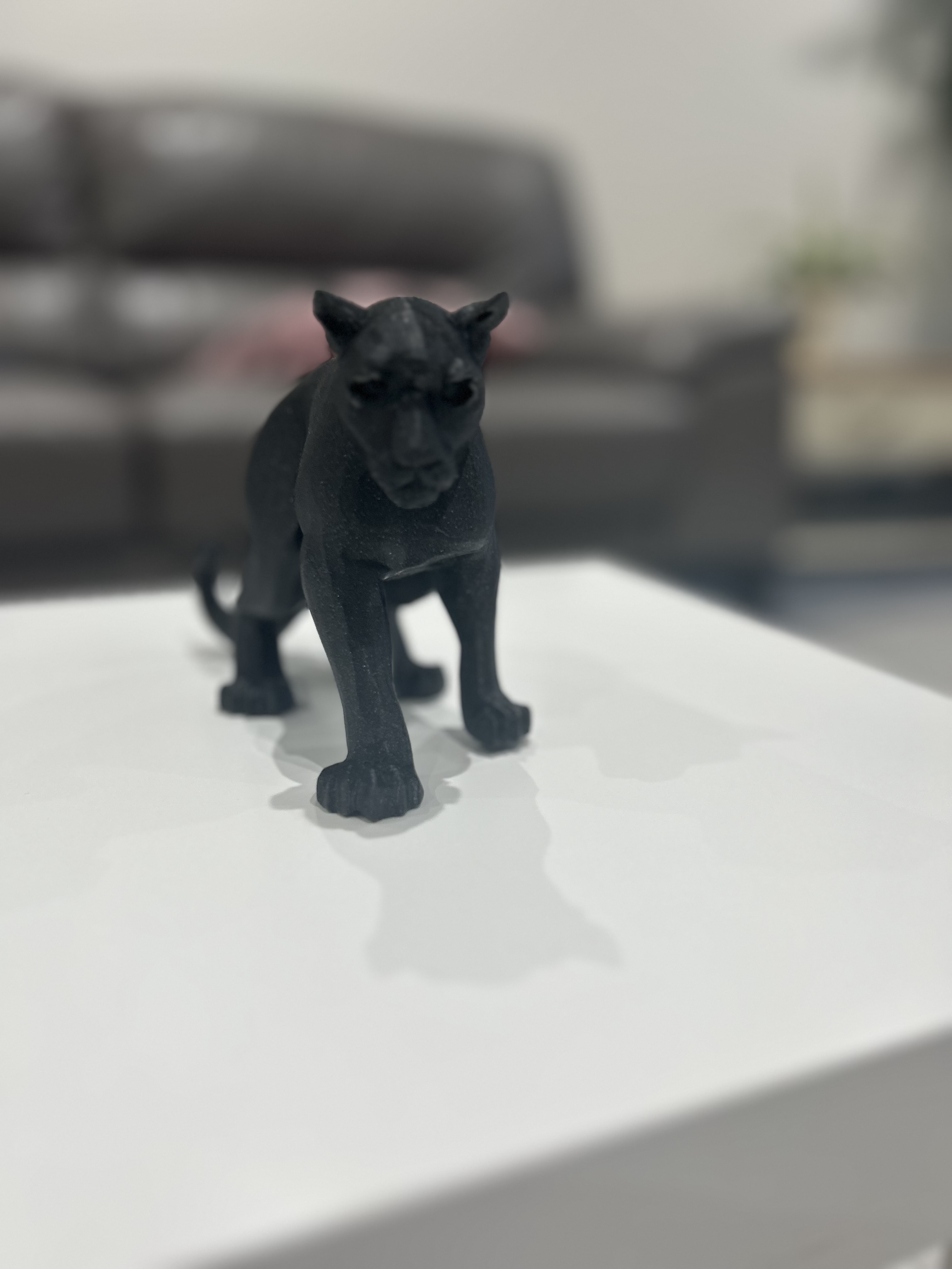 Pouncing Panther