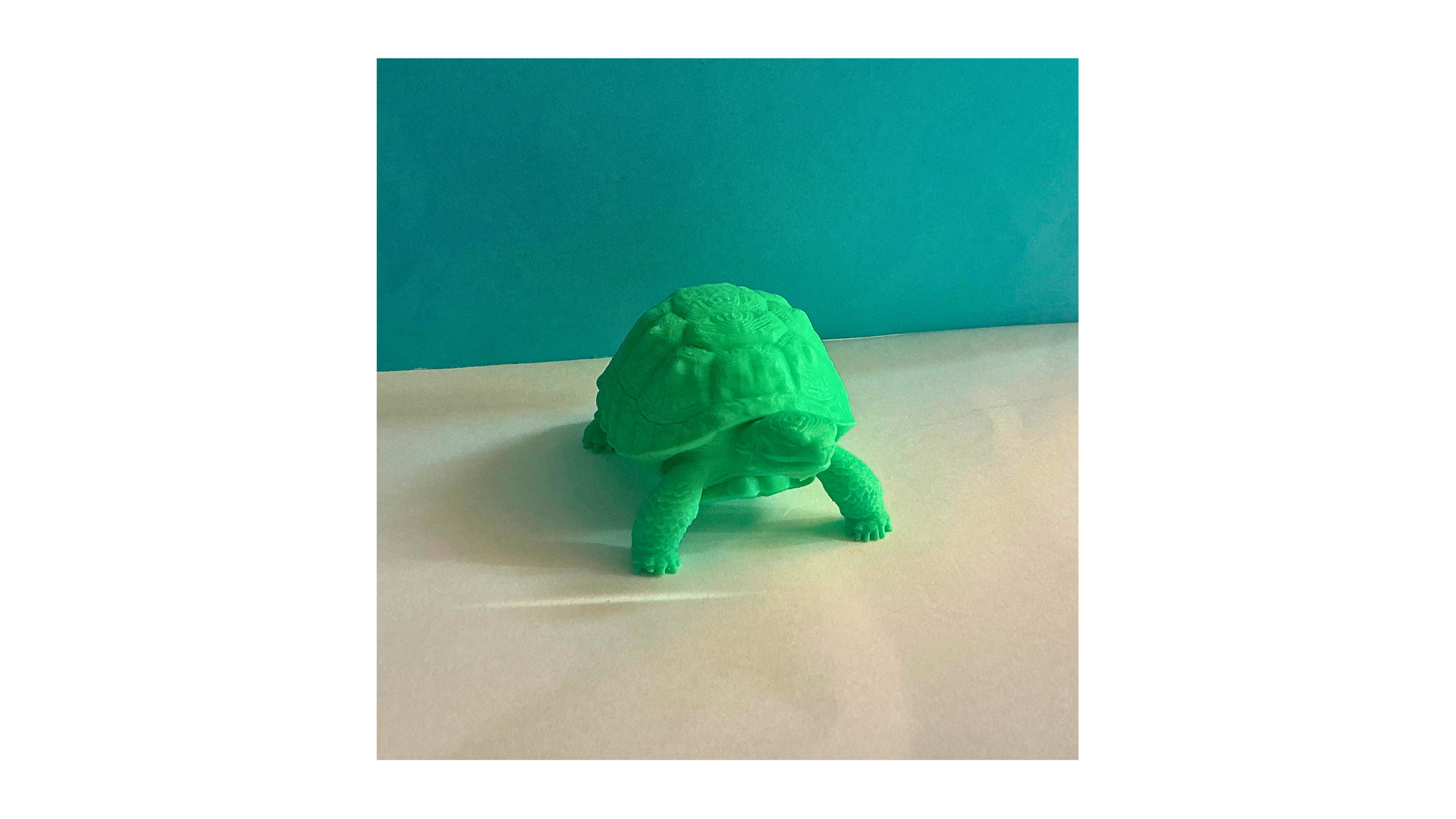 Tortoise — miniatura 3