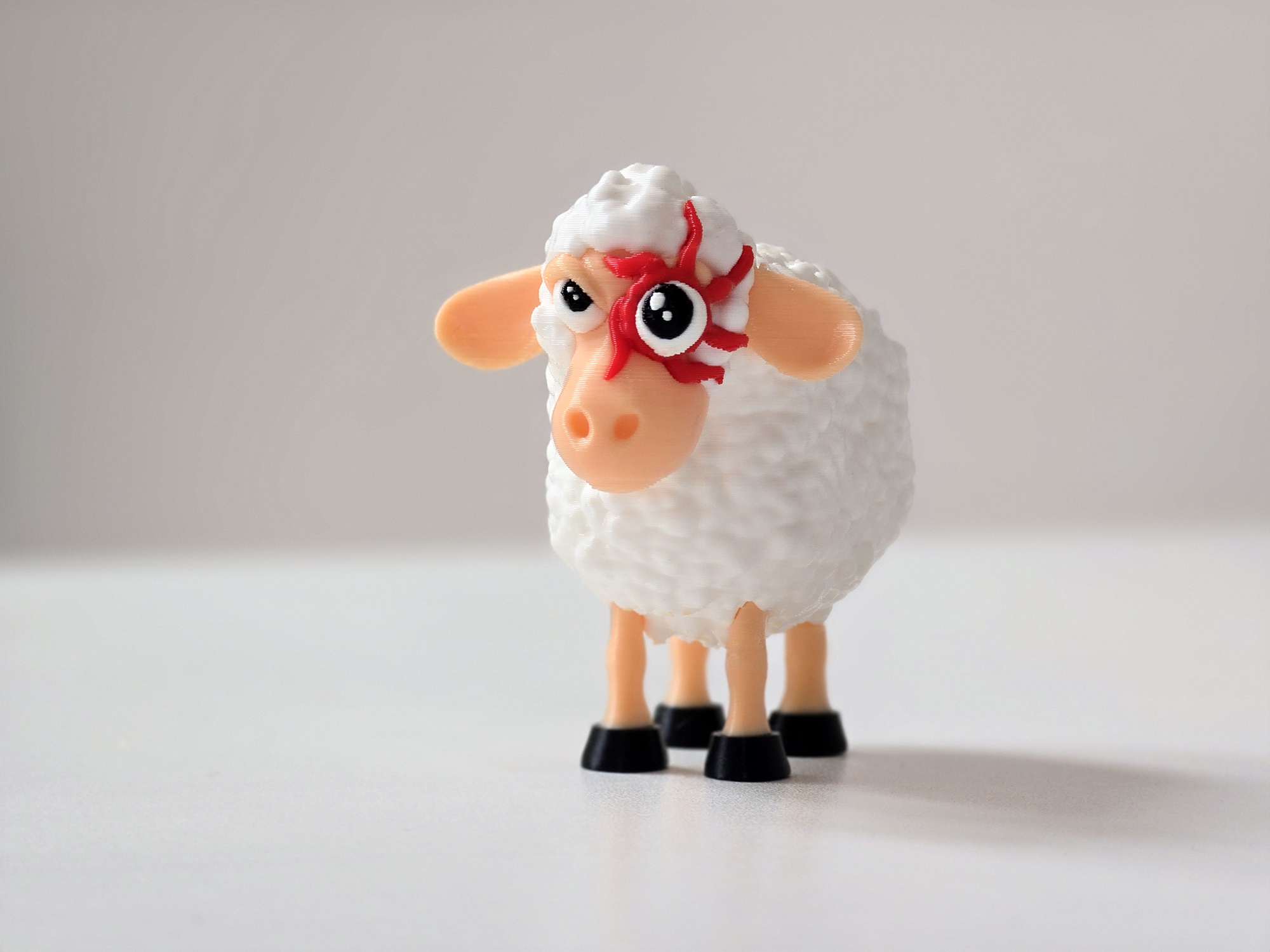 T Ocellus sheep