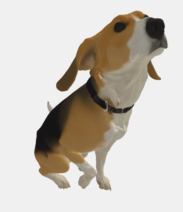 beagle — miniatura 3